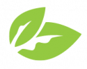 Ecosophy Icons Green-06 Ecosophy Icons Green-06