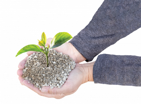 Hands with Plant Hands with Plant